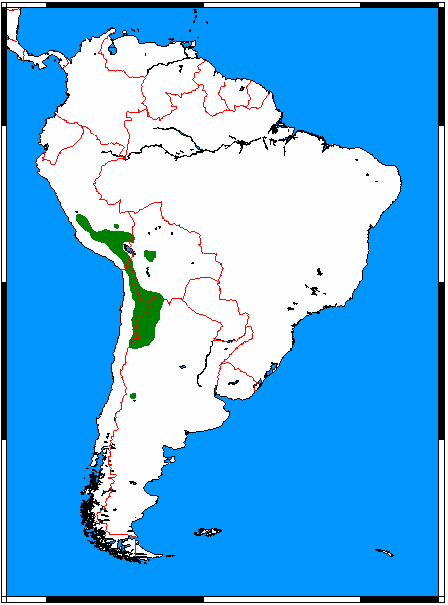 Mapa de Sudamérica que muestra la distribución del gato andino
